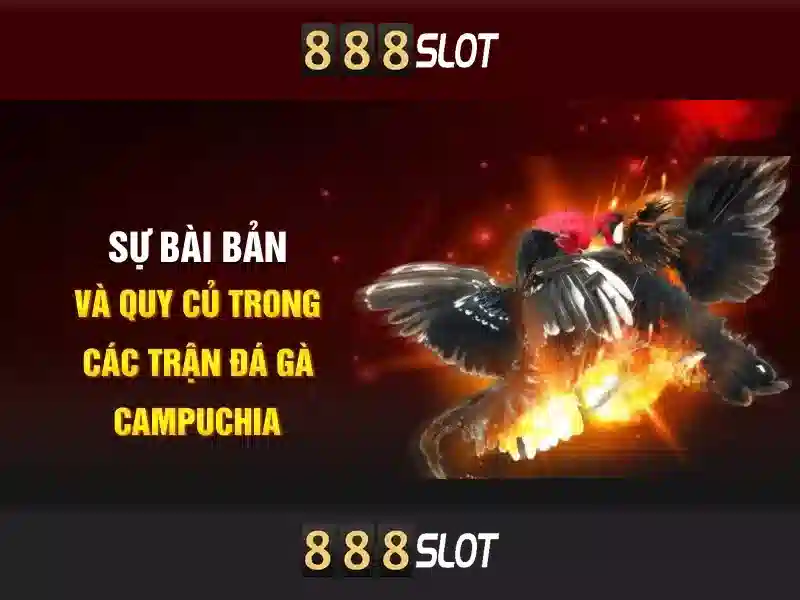 Giao diện nhà cái hoàn hảo