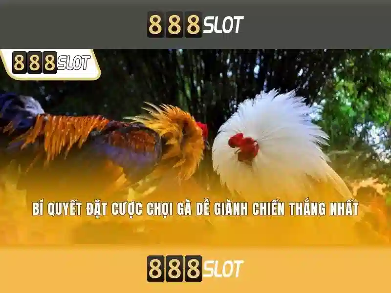 Giao diện nhà cái hoàn hảo