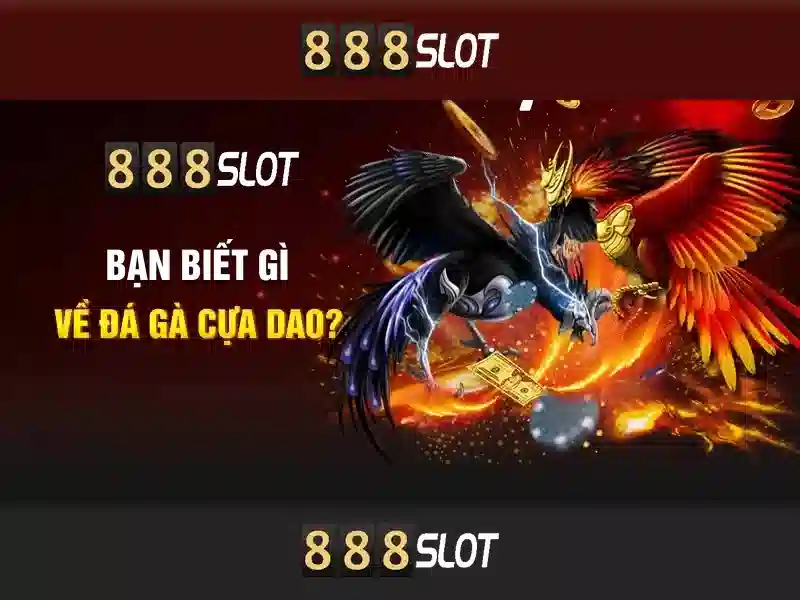 Giới thiệu về 888slot