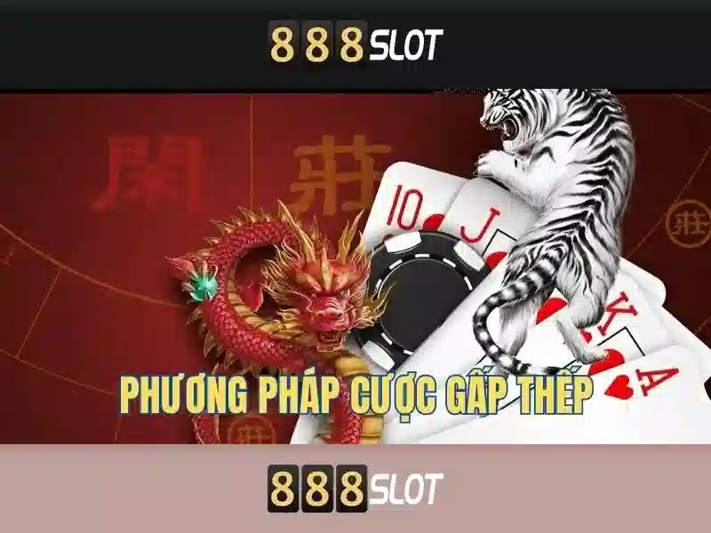 Hỗ trợ khách hàng và dịch vụ