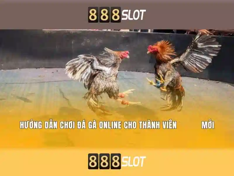 Trò chơi và trải nghiệm