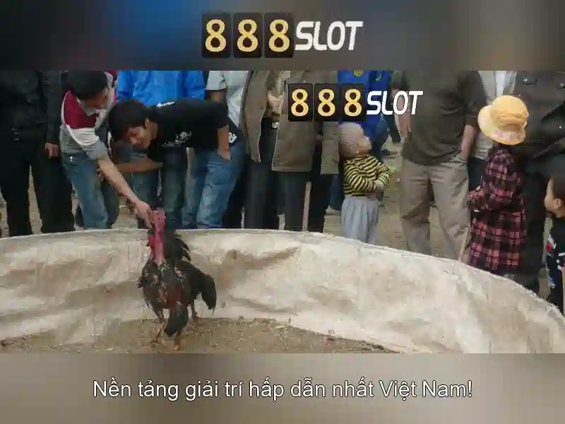 Giao diện nhà cái hoàn hảo
