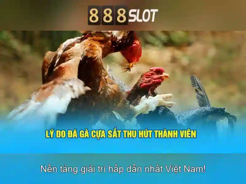 Giao diện nhà cái hoàn hảo