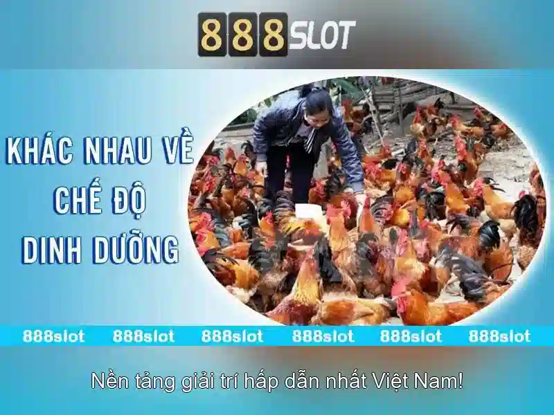 Giới thiệu về 888slot